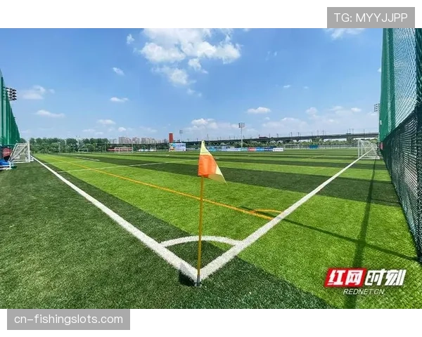 体育产业生态构建：从赛事运营到青训体系，棒球运动在中国市场的可持续发展路径探索